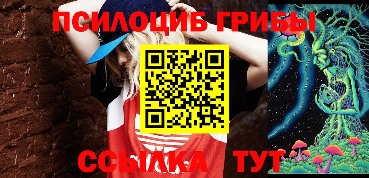 Гай  Псилоцибиновые грибы ЛСД  Галлюциногенные грибы GOLDEN TEACHER  Вход с VPN 
