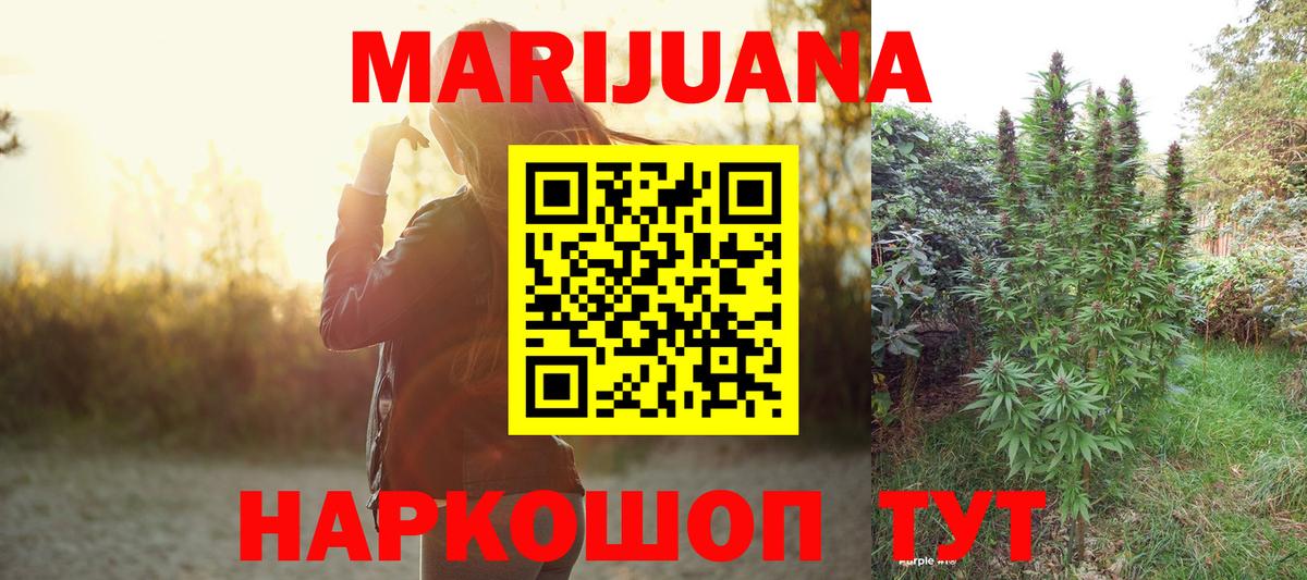 Конопля план  Вход с VPN  Гай  Бошки марихуана сатива 